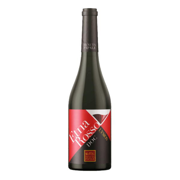 Vino Etna Rosso DOC